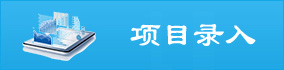 项目录入
